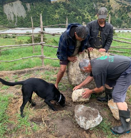 Nga Ariki Kaiputahi. TARP jobs for Nature