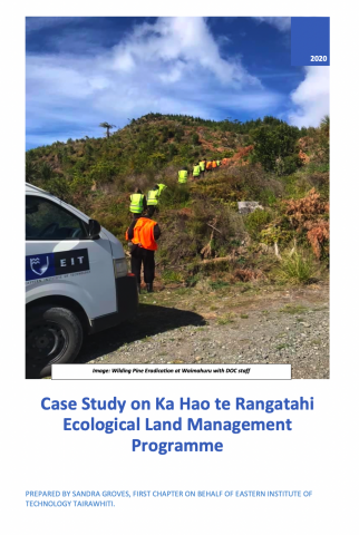 Rangatahi Landscape Case Study 